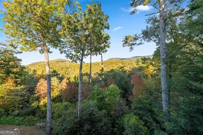 709 Laurel Creek Trail, Blue Ridge, GA 30513 - Photo 19