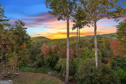 709 Laurel Creek Trail, Blue Ridge, GA 30513 - Photo 39