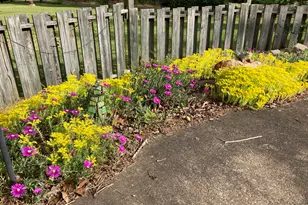 53 Ninth St, Carlton, GA 30627 - Photo 59