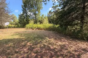 777 Kirk Rd, Franklin, GA 30217 - Photo 25