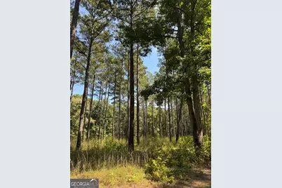 2580 Cedar Grove Road, Buckhead, GA 30625 - Photo 15