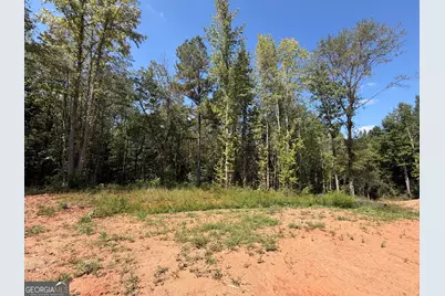 1736 Armstrong Mill Road, Franklin, GA 30217 - Photo 13