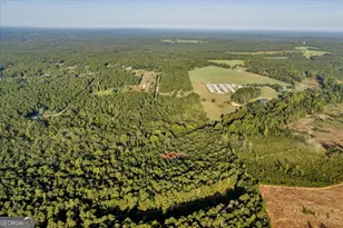 319 Pope Rd, Roberta, GA 31078 - Photo 45