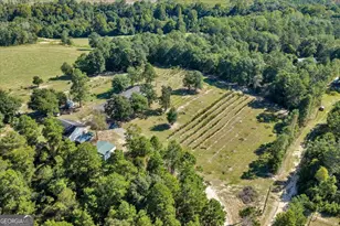 319 Pope Rd, Roberta, GA 31078 - Photo 43