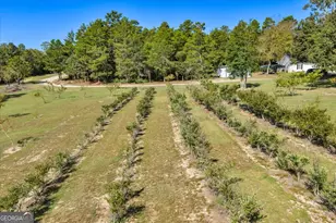 319 Pope Rd, Roberta, GA 31078 - Photo 79