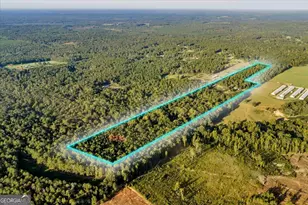 319 Pope Rd, Roberta, GA 31078 - Photo 89