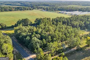 319 Pope Rd, Roberta, GA 31078 - Photo 53