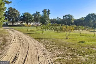 319 Pope Rd, Roberta, GA 31078 - Photo 41