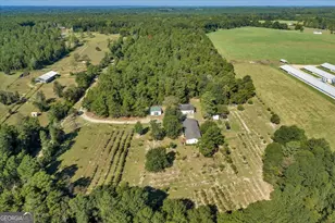 319 Pope Rd, Roberta, GA 31078 - Photo 69