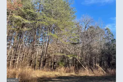 0 Rockfence Road, Adairsville, GA 30103 - Photo 5