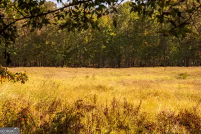 Tracts 10,11,12 Livingston Rd SW, Rome, GA 30161 - Photo 1