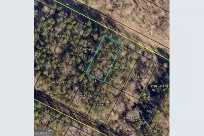 702 N Holcomb Drive, Martin, GA 30557 - Photo 1