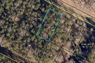 170 Deer Trail, Martin, GA 30557 - Photo 1