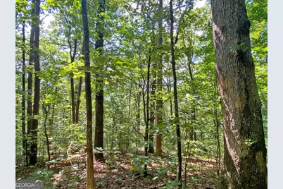 4.8Ac Sign Board Gap Road, Dahlonega, GA 30533 - Photo 7