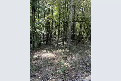 46 Creek Ridge, Winterville, GA 30683 - Photo 5