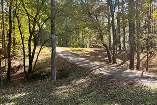 266 Chancey Dr, Douglasville, GA 30134 - Photo 19