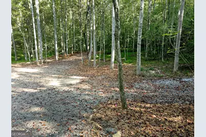 172 Boyd Hollow Drive, Blairsville, GA 30512 - Photo 7