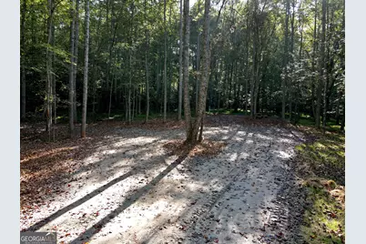 172 Boyd Hollow Drive, Blairsville, GA 30512 - Photo 5