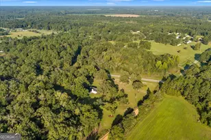 2020 Dublin Eastman Rd, Dexter, GA 31019 - Photo 39