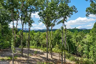 560 Horatio Dr, Blue Ridge, GA 30513 - Photo 35