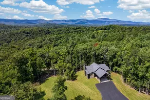 560 Horatio Dr, Blue Ridge, GA 30513 - Photo 67