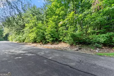 0 Duchess Lane #1005, Clarkesville, GA 30523 - Photo 15