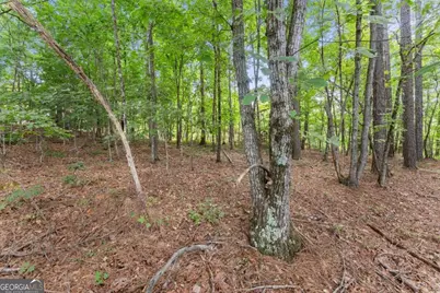 0 Duchess Lane #1005, Clarkesville, GA 30523 - Photo 19