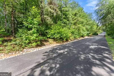 0 Duchess Lane #1005, Clarkesville, GA 30523 - Photo 13