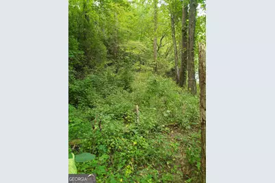 0 Marie #LOT 1800, Talking Rock, GA 30175 - Photo 1