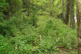 00 Marie, Talking Rock, GA 30175 - Photo 1