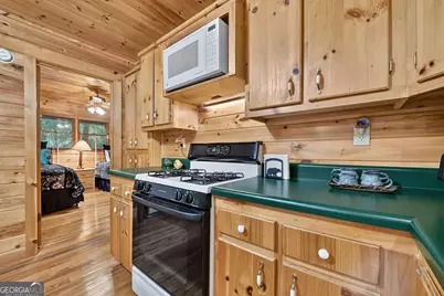 255 Blue Ridge Trails, Morganton, GA 30560 - Photo 37