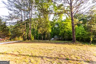 2443 Hodges Farm Rd, Mansfield, GA 30055 - Photo 37
