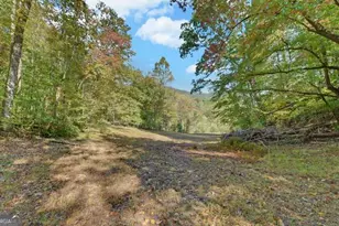 349 Old Ferguson Town Rd, Hiawassee, GA 30546 - Photo 5