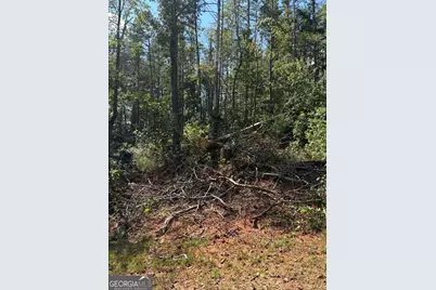 309 Seminole Trail, Martin, GA 30557 - Photo 3