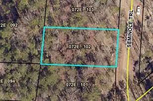 309 Seminole Trail, Martin, GA 30557 - Photo 1