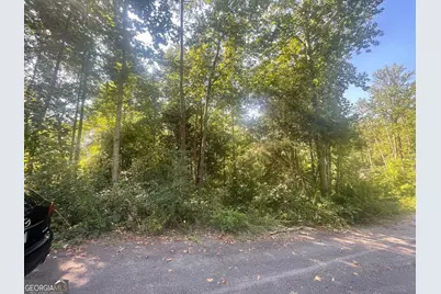 161 Apache Trail, Martin, GA 30557 - Photo 3
