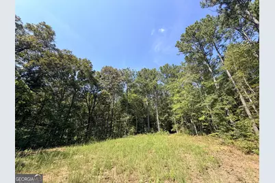 1620 Cross Plains Hulett Road, Carrollton, GA 30116 - Photo 85