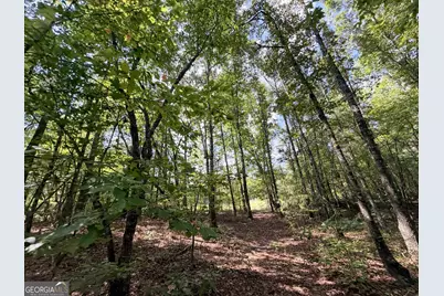 1620 Cross Plains Hulett Road, Carrollton, GA 30116 - Photo 35