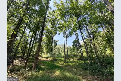 1620 Cross Plains Hulett Road, Carrollton, GA 30116 - Photo 73