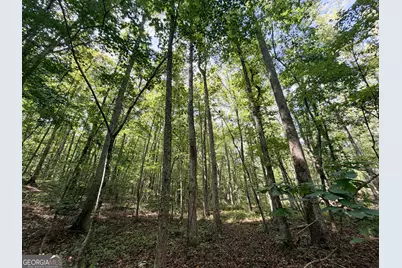 1620 Cross Plains Hulett Road, Carrollton, GA 30116 - Photo 27