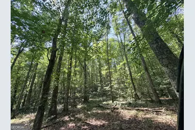 1620 Cross Plains Hulett Road, Carrollton, GA 30116 - Photo 55