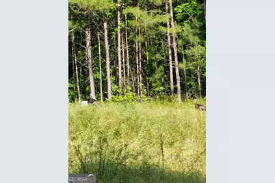 1620 Cross Plains Hulett Road, Carrollton, GA 30116 - Photo 15