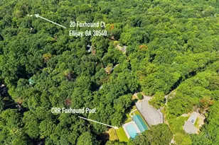 20 Foxhound Ct, Ellijay, GA 30540 - Photo 59