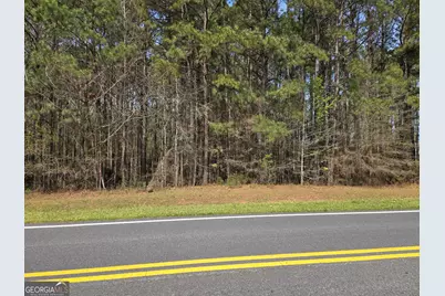 0 Bear Creek Boulevard #00, Hampton, GA 30228 - Photo 5
