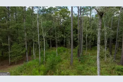 315 Polly Branch Drive, Rincon, GA 31326 - Photo 27