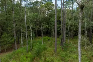 315 Polly Branch Dr, Rincon, GA 31326 - Photo 27