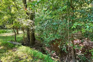 6881 Wood Lake Cir, Young Harris, GA 30582 - Photo 53