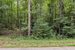 194 Tahoe Trail, Martin, GA 30557 - Photo 1