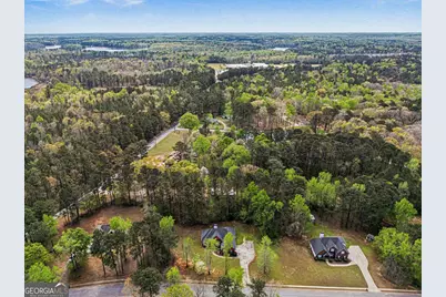 1041 Olive Drive, Hampton, GA 30228 - Photo 27