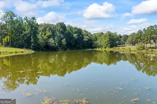 344 River Bend Dr, Royston, GA 30662 - Photo 29